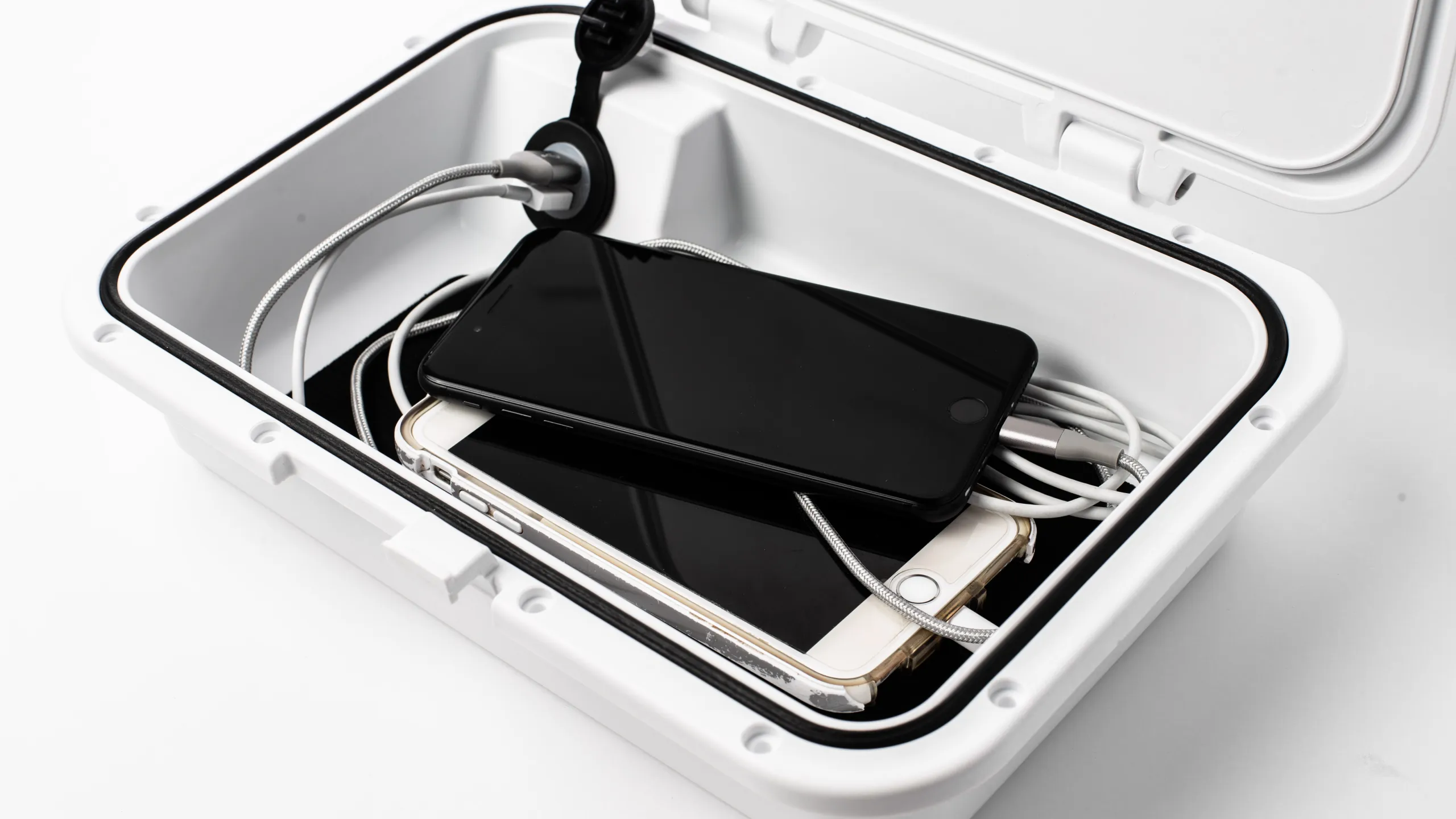 1m3a8003_library_55658